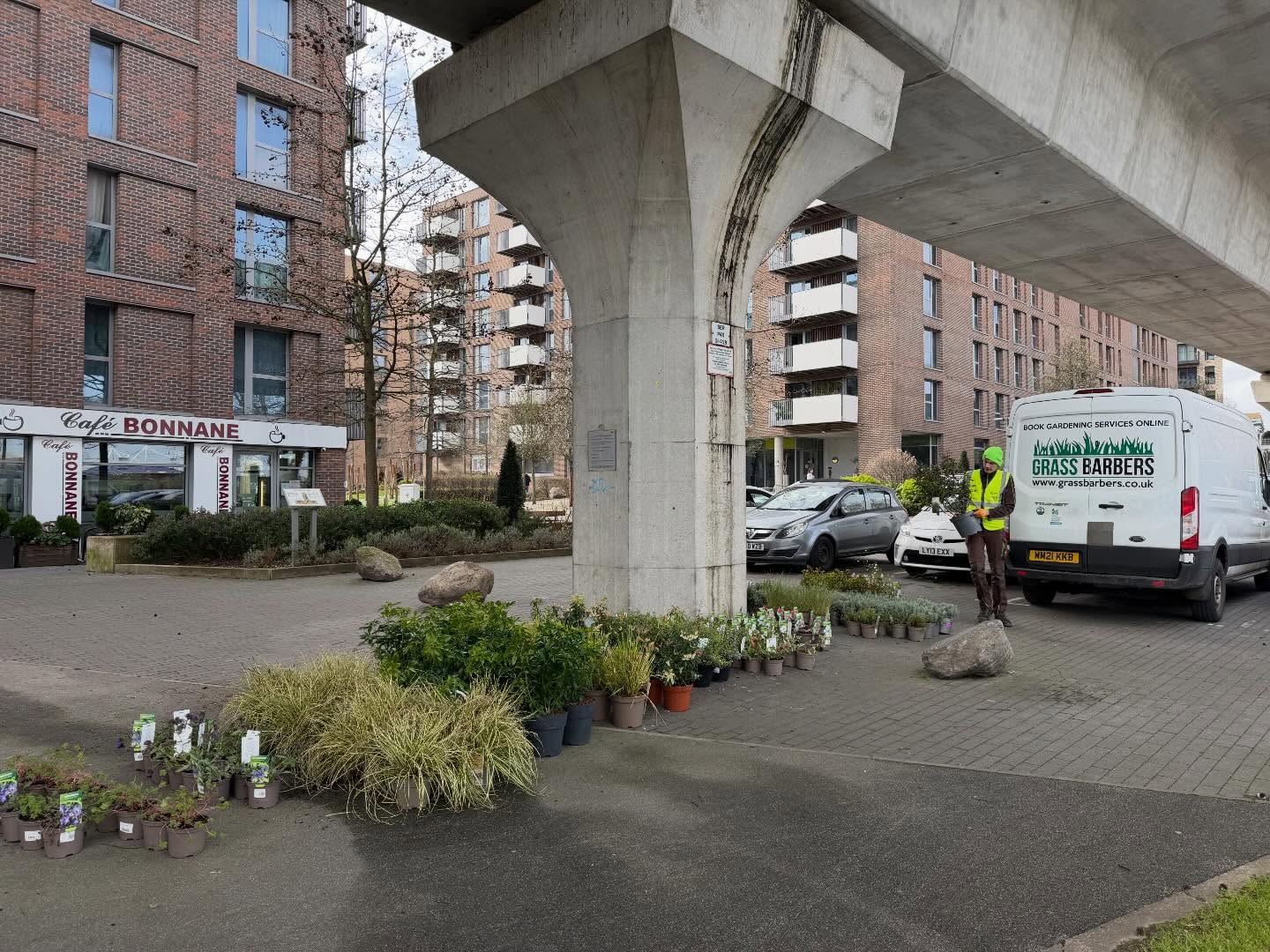 How Does the Right Planting Approach Improve Long-Term Results?