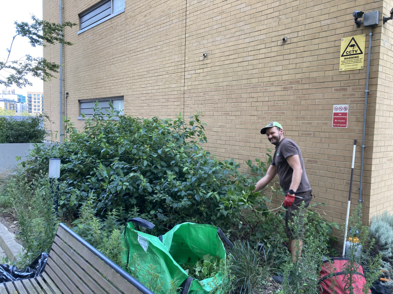 Communal garden improvement at a residential estate
