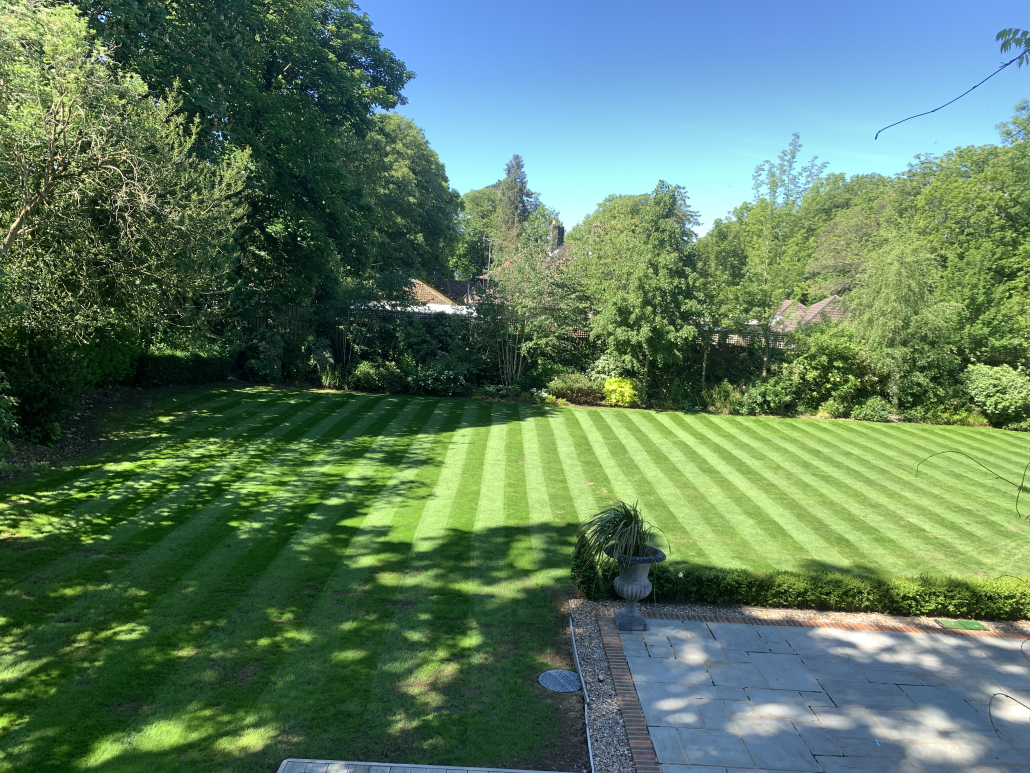 Garden maintenance, lawn care and planting services in Purley CR8