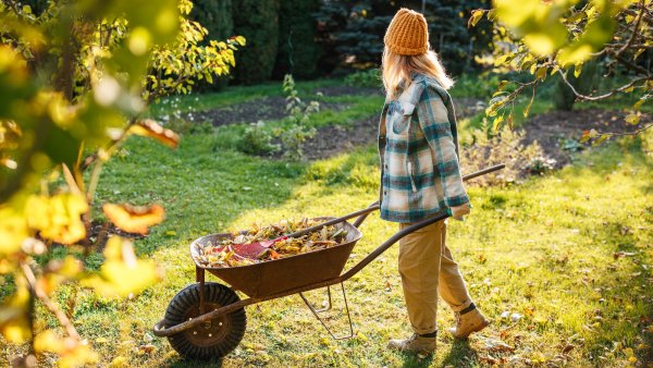 4 Essential September Tasks to Prevent Pests Next Spring – Plus 1 Common Mistake to Avoid