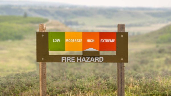 5 Plants to Avoid in Wildfire-Prone Areas – and What to Plant Instead