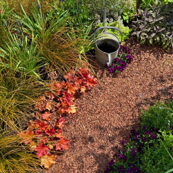 6 Drought-Resistant Plants That Enhance Hard Landscaping for a Stunning Designer-Look Garden Without the Hassle (And Yes, They Can Be Grown in Planters, Too)