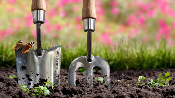 7 Ways to Replenish Your Soil This Fall