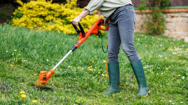 Top String Trimmers for Every Budget – Expert Reviews of Gas & Electric Weed Eaters