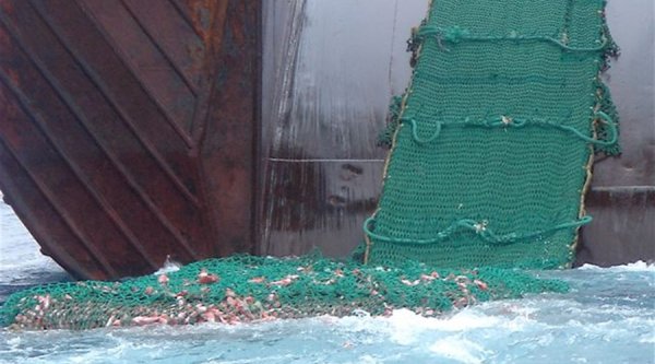 Bottom trawling in Europe may cost society billions, study finds