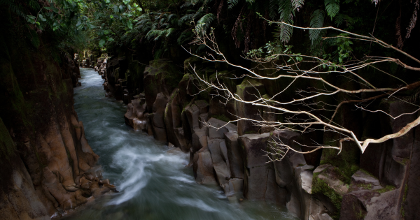 Can legal personhood for nature strengthen protection?