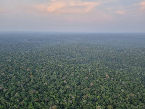 Tropical deforestation raises regional temperatures and linked deaths