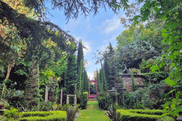 Explore the Gardens of Dublin & the Wicklow Mountains
