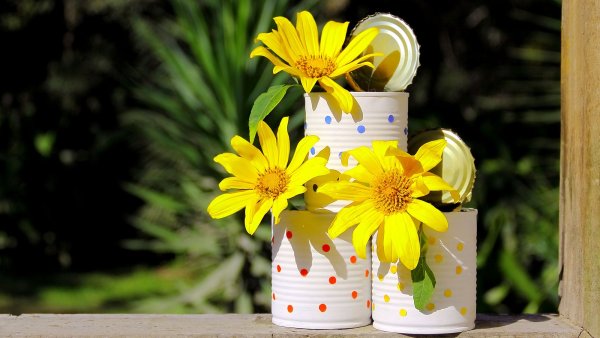 'I Always Save Old Tin Cans for My Garden' – 8 Creative Ways to Transform Trash Into Gardening Treasures