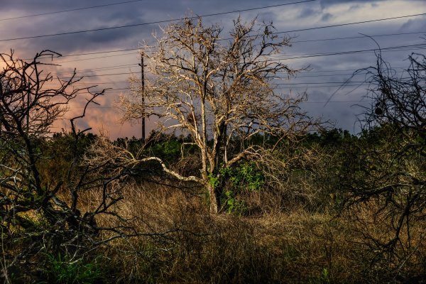 It Was on Your Table Every Morning Growing Up. It’s Dying Before Our Eyes. No One Wants to Face It.
