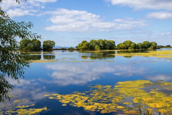 Lough Neagh sand mining likely harming lake’s ecosystem, research warns
