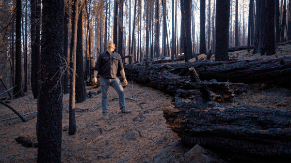 Poisoning the Forest for the Trees: The controversial weed killer Roundup is being sprayed in record amounts in California’s forests. We go inside the secret plan that helped make it possible