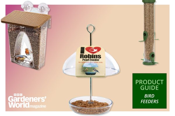 Top Bird Feeders for Your Garden in 2026