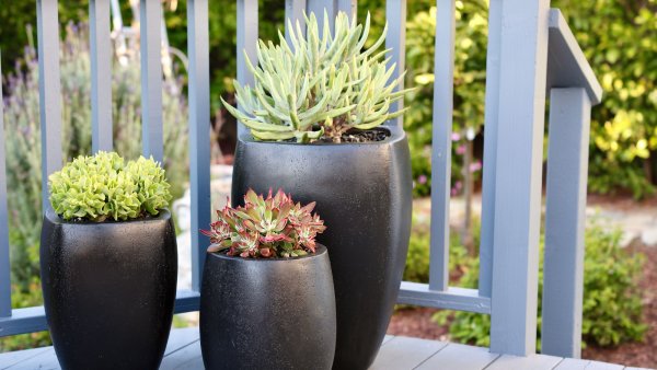 6 Stylish Pots & Planters for Your Front Porch That Look Expensive, But Are Budget-Friendly – Affordable Finds From Target