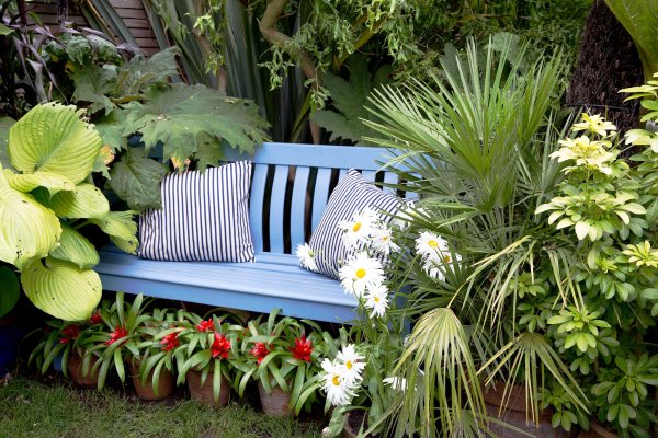 Enhance Your Garden's Privacy with These 37 Ideal Plants